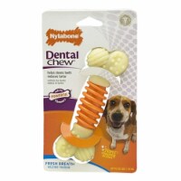 Nylabone Pro-Action Dental Dog Chew Toy