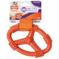 Nylabone® Fun 'N' Fit Chicken Flavor Dog Toy