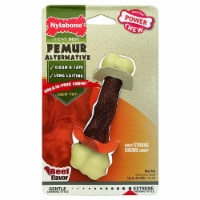TFHPU 181610 Nylabone Dura Chew Beef Femur Toy
