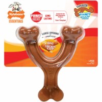 Nylabone Nylabn Chkn Flvr Dog Toy NWB214W
