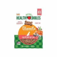 TFH Publications & Nylabone NBI400M12P 12 oz Healthy Edible Grain Free Biscuit Salmon