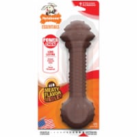 Nylabone® Essentials Meaty Flavor Medley Power Chew Toy for Large Dogs