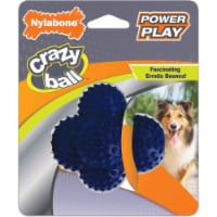 Nylabone® Power Play Crazy Ball™ Toy