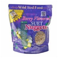 C&S 27 Oz. No Melt and Waste Free Berry Flavored Suet Nuggets 100214197