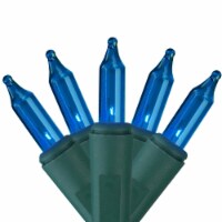 Hofert 140ct Blue Everglow Chasing Mini Christmas Lights - 48ft, Green Wire