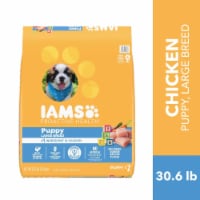 IAMS Puppy Large Breed Chicken Dry Dog Food
