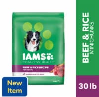 IAMS Proactive Health Adult Dry Dog Food Beef and Rice Recipe Perspective: Main