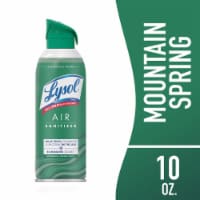 Lysol® Rainwashed Bamboo Scent Air Sanitizer Perspective: Main