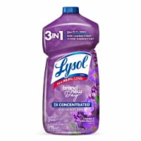 Lysol Brand New Day 2X Concentrated Multi Surface Cleaner Perspective: Main