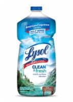 Lysol® Clean & Fresh Cool Adirondack Air Scent Multi-Surface Cleaner