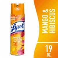 Reckitt Benckiser 1014230 19 oz Mango & Hibiscus Scent Disinfectant Spray