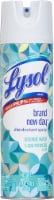 Lysol Brand New Day Coconut Water and Sea Minerals Disinfectant Spray Perspective: Main