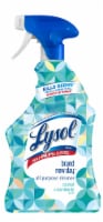 Lysol® Brand New Day™ Coconut & Sea Minerals All Purpose Cleaner