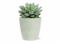 Succulent Ceramic Pot Perspective: Main