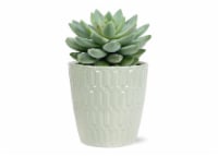 Succulent Ceramic Pot