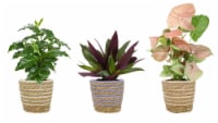 5 in Foliage In Jute Perspective: Main