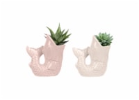 Succulent Trailing in Ceramic Planter Perspective: Main