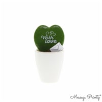 Fresh 2.5 inch Live Hoya Heart Succulent with Script Perspective: Main