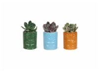 Foliage in Ceramic Specialty Pot Perspective: Main