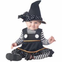Morris Costumes CC10048TS Crafty Lil Witch Toddler Costume, Size 12-18