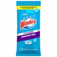 Windex® Ammonia-Free Glass Wipes Perspective: Main