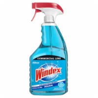 Windex® Powerized Original Perspective: Main