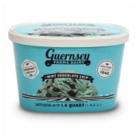 Guernsey Farms Dairy Mint Chocolate Chip Ice Cream Tub Perspective: Main