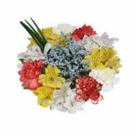 Renewal Wellness Carnation Alstro Flower Bouquet Perspective: Main