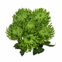 Disbud Flower Bouquet