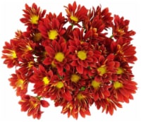 Premium Poms - Red / Orange