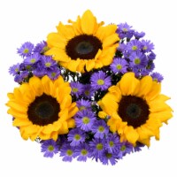 Butterfly Blossoms Flower Bouquet, 11 stem - Kroger