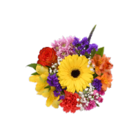 January Jubilee Fresh Flower Bouquet Perspective: Main