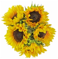 Fresh Sunflower Bunch – 5 stems Perspective: Main