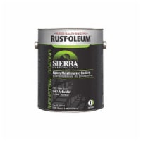 Sierra S60 Epoxy Activator Satin,S60,Clear,1gal,Can 283742