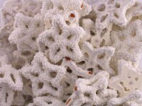 Pretzel Yougurt Snowflakes - Clamshell Perspective: Main