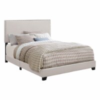 Coaster Boyd Fabric Upholstered Queen Bed with Nailhead Trim in Ivory