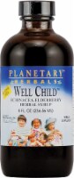 Planetary Herbals Well Child Echinacea-Elderberry Herbal Syrup Perspective: Main