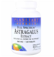 Planetary Herbals Full Spectrum™ Astragalus Extract Tablets 500 mg Perspective: Main