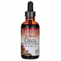 Planetary Herbals Full Spectrum Chaga 2 fl oz Liq Perspective: Main