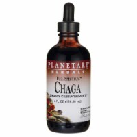 Planetary Herbals Full Spectrum Chaga 4 fl oz Liq Perspective: Main