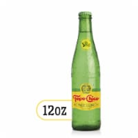 Topo Chico Mineral Twist of Lime Flavored Sparkling Bottled Water Perspective: Main