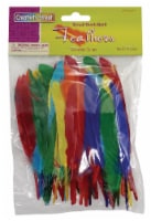 Creativity Street® Duck Quills - Assorted Perspective: Main