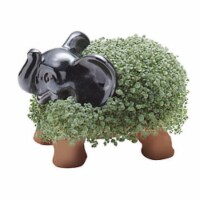 Joseph Enterprises CP 034-16 Elephant Chia Pet- Case of 16