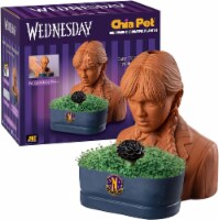 Wednesday Chia Pet Perspective: Main