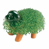 Chia Pet Puppy Handmade Decorative Planter