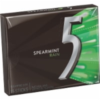 5 GUM Spearmint Rain Sugar Free Chewing Gum Five Gum Perspective: Main