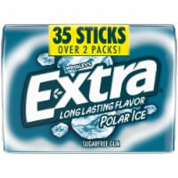 Extra Polar Ice Sugar Free Chewing Gum Pack Perspective: Main