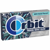 ORBIT Freeze Mint Sugar Free Chewing Gum 14 Count Perspective: Main