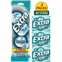 Extra Polar Ice Sugar Free Chewing Gum Pack Perspective: Main