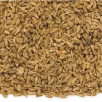 Davidson Organic Tea 6124 Bulk Herb Anise Seed Tea